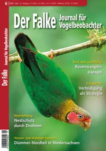 Der Falke Journal für Vogelbeobachter - Juni 2025