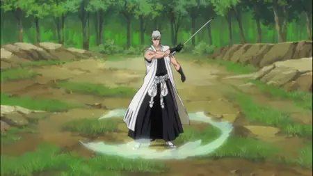 Bleach S11