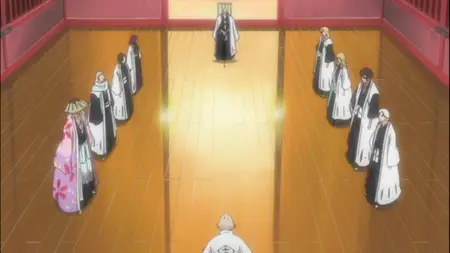 Bleach S11