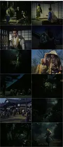 Samurai II: Duel at Ichijoji Temple (1955) [The Criterion Collection]