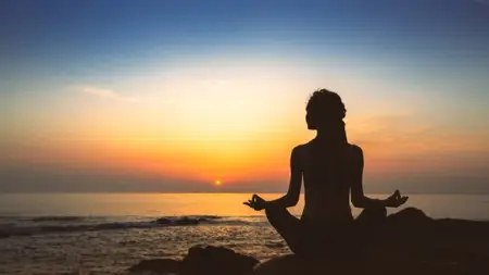 Exploring The Healing Arts