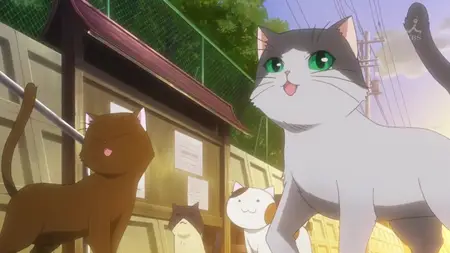 Gg Nyan Koi - 10
