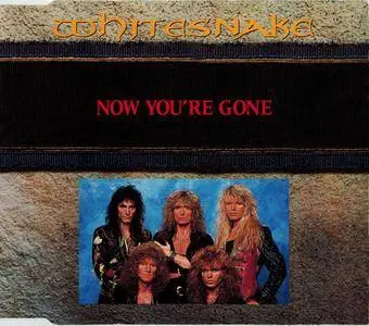 Whitesnake - Now You're Gone (UK CD5) (1990) {EMI}