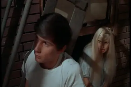 Single Room Furnished (1968)