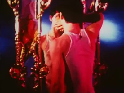 Pink Narcissus (1971)