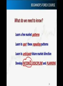Forex Beginner’s Course