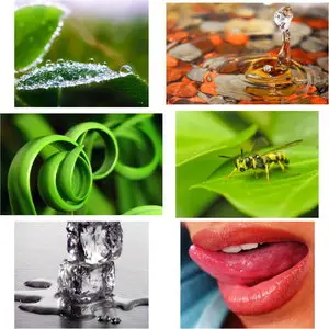 Wallpapers Macro. Set 2