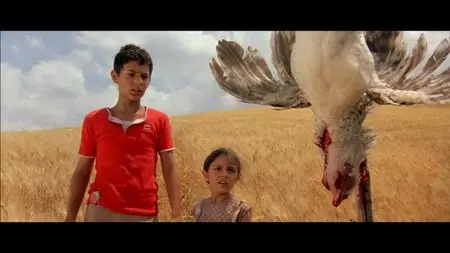 I'm Not Scared (2003)