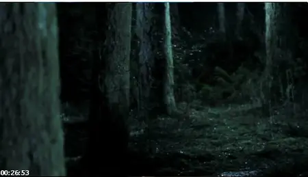 A Haunting at Silver Falls (2013)