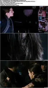 The Whistleblower (2010)