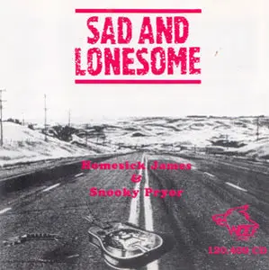 Homesick James & Snooky Pryor - Sad And Lonesome (1980)