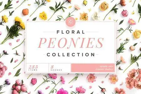 CreativeMarket - Floral Peonies Collection