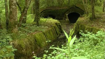 PBS - Model Ts to War: American Ambulances on the Western Front 1914-1918 (2009)