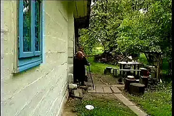 The Path/Стэжка/Тропинка