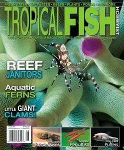 Tropical Fish Hobbyist Magazine - August 2008