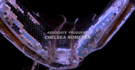 Cremaster 2 by Matthew Barney