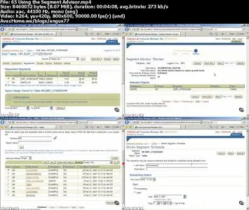 VTC Programming Database Development Collection