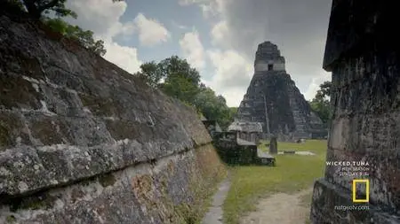 National Geographic - Lost Treasures of The Maya Snake Kings (2017)