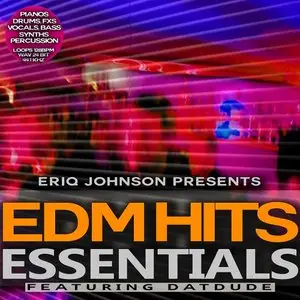 Musicheads Eriq Johnson EDM Hits Essentials WAV