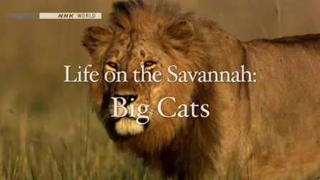 NHK Wildlife - Life on the Savannah: Big Cats (2010)