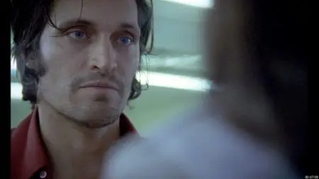 The Brown Bunny - by Vincent Gallo (2003)