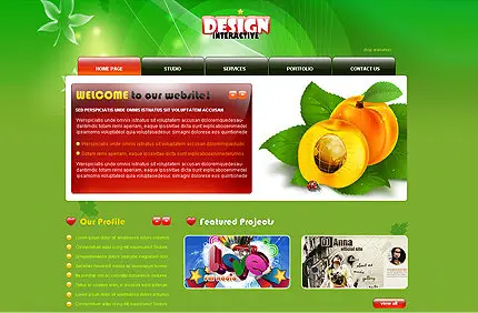 FlashMint 2872 Design studio XML gallery flash template