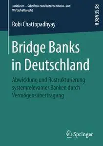 Bridge Banks in Deutschland: Abwicklung und Restrukturierung systemrelevanter Banken durch Vermögensübertragung