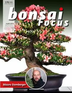 Bonsai Focus (English Edition) - May-June 2021