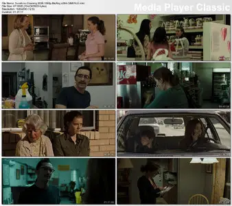 Sunshine Cleaning (2008)