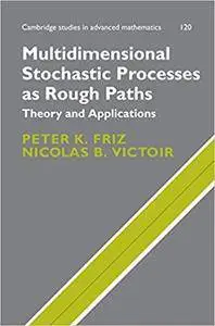 Multidimensional Stochastic Processes as Rough Paths: Theory and Applications (Repost)