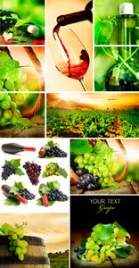 Stock Photo - Grapes and Wine