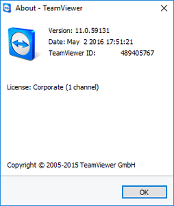 TeamViewer Corporate 11.0.59131 Multilingual