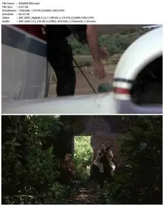 Let's Get Harry (1986)
