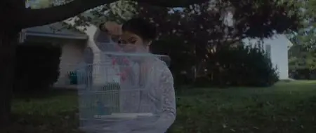 The Dark End of the Street (2020)