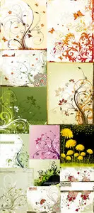 Floral Background Vectors