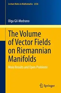 The Volume of Vector Fields on Riemannian Manifolds: Main Results and Open Problems
