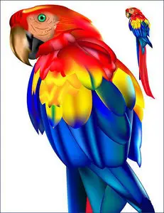 Parrot Vector