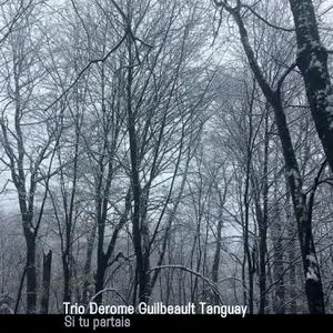 Trio Derome Guilbeault Tanguay - Si tu partais (2023) [Official Digital Download]