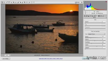 Photoshop CC Raw Workshop (2013) [repost]