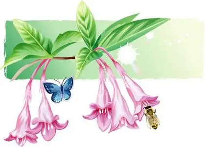 IT Design Flowers & Insects