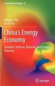 China's Energy Economy: Situation, Reforms, Behavior, and Energy Intensity [Repost]