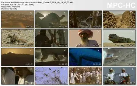(Fr5) Arabie sauvage - Au cœur du désert (2016)