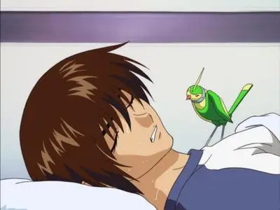 Mobile Suit Gundam SEED 15 BD mkv