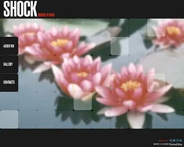 Shock Design Studio - Flash Site Template