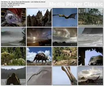 BBC Wildlife Special - Sur la Terre des Dinosaures - Les maîtres du ciel (4/6)