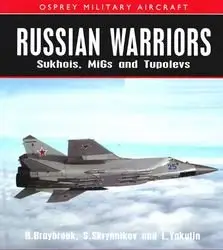 Russian Warriors: Sukhois, Migs and Tupolevs (repost)
