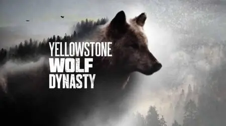 NG. - Yellowstone Wolf Dynasty: The Pack (2018)
