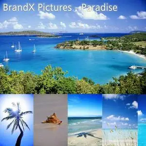 BrandX Pictures - Paradise