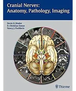 Cranial Nerves: Anatomy, Pathology, Imaging [Repost]