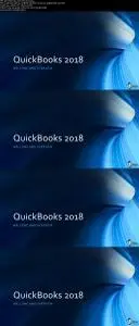 Master QuickBooks Pro 2017 & QuickBooks 2018 the Easy Way